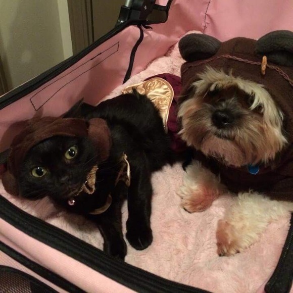 Hello there! I’m Jacquelyn! - Picture 3 of 8